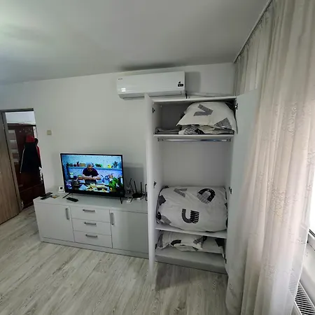 2 Brazda Lui Novac Apartment *