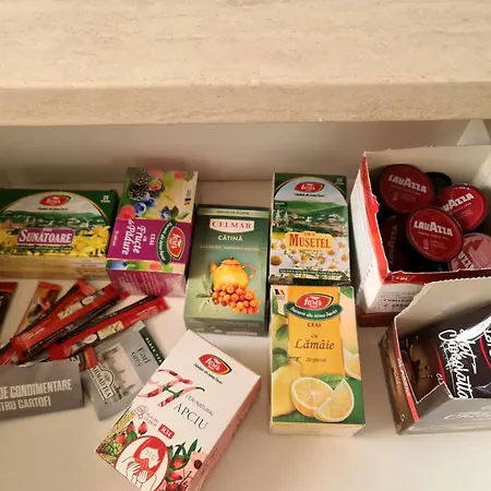 2 Brazda Lui Novac Apartment