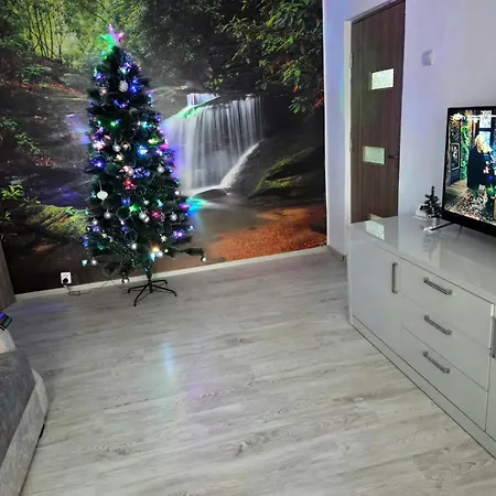 2 Brazda Lui Novac Apartment *