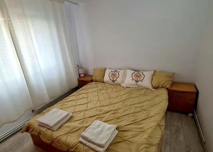 2 Brazda Lui Novac Apartment