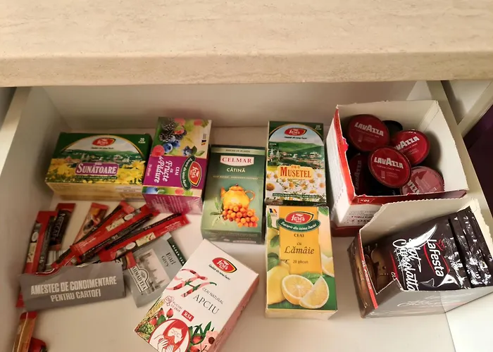 2 Brazda Lui Novac Lejlighed