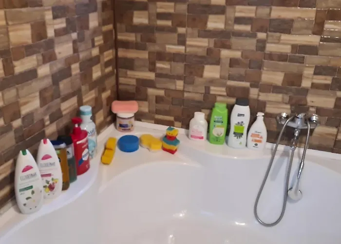 Lejlighed 2 Brazda Lui Novac