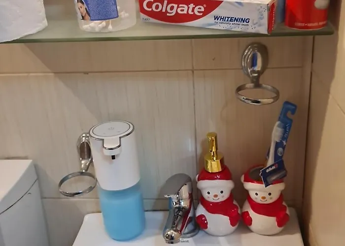 Lejlighed 2 Brazda Lui Novac