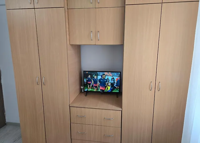 2 Brazda Lui Novac Apartment